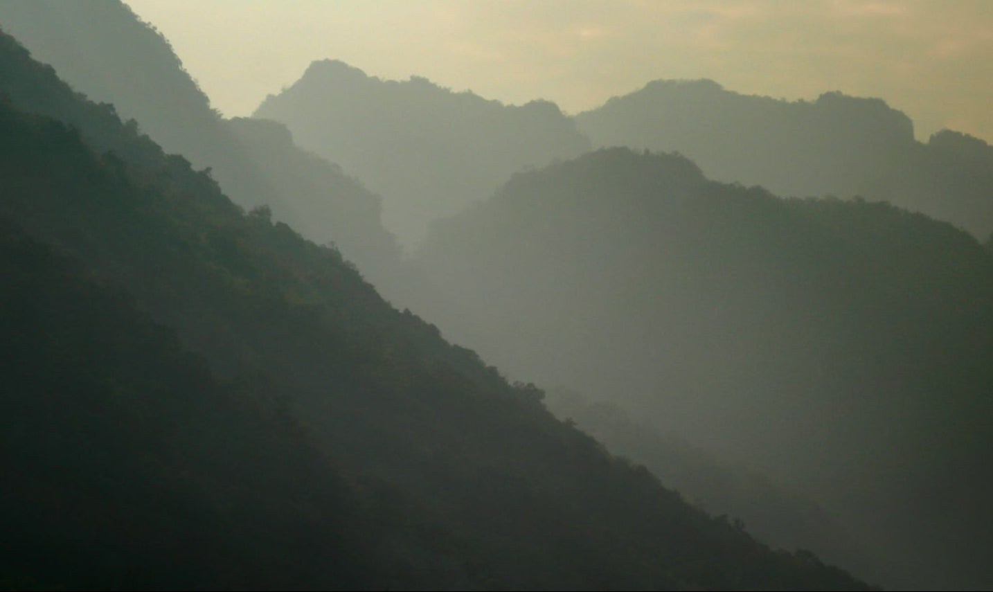 Tee Shop Köln Online 